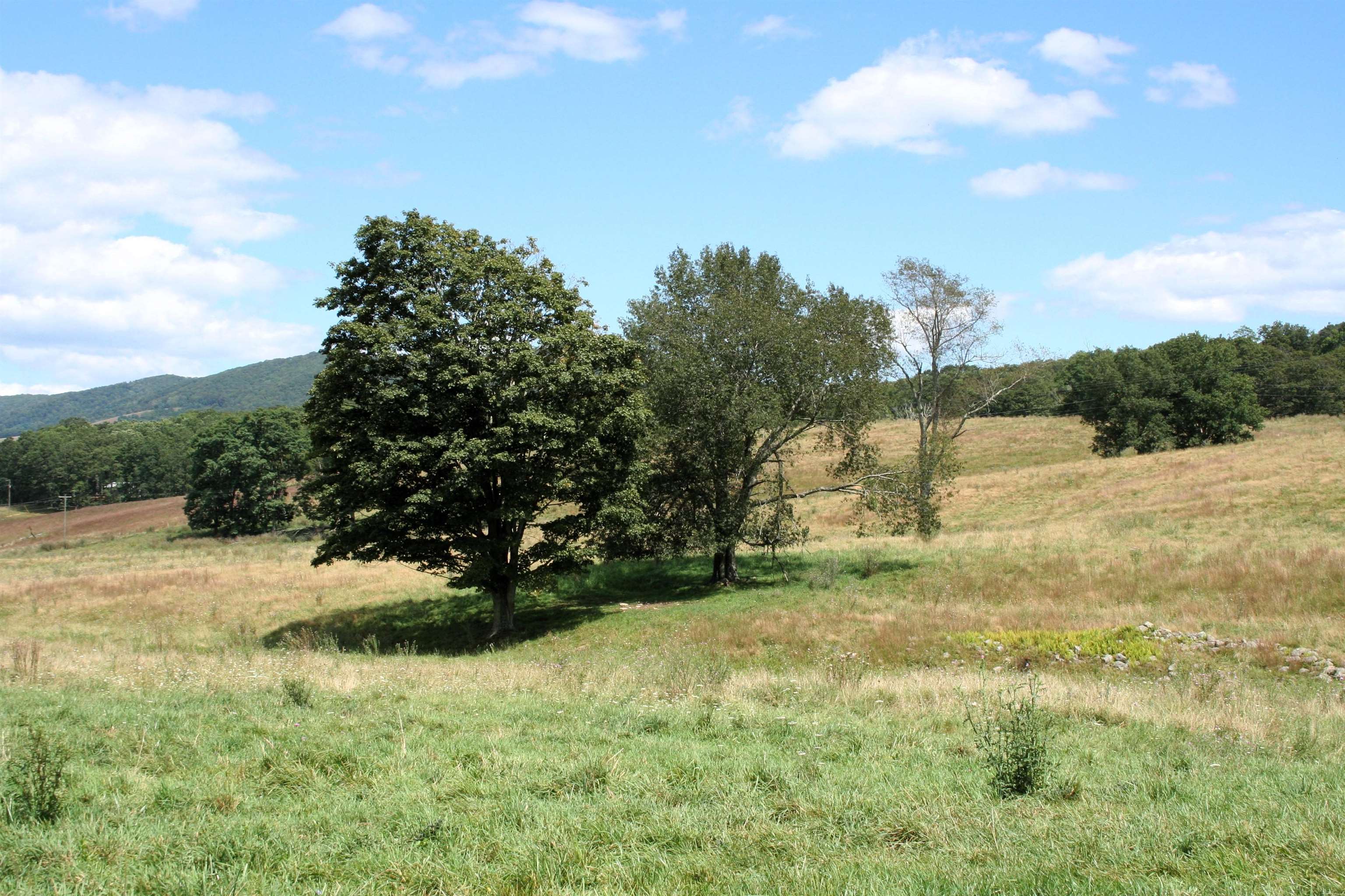 Tbd Mill Gap Road Monterey, VA 24465 - Photo 5 of 6 a view of outdoor space and yard