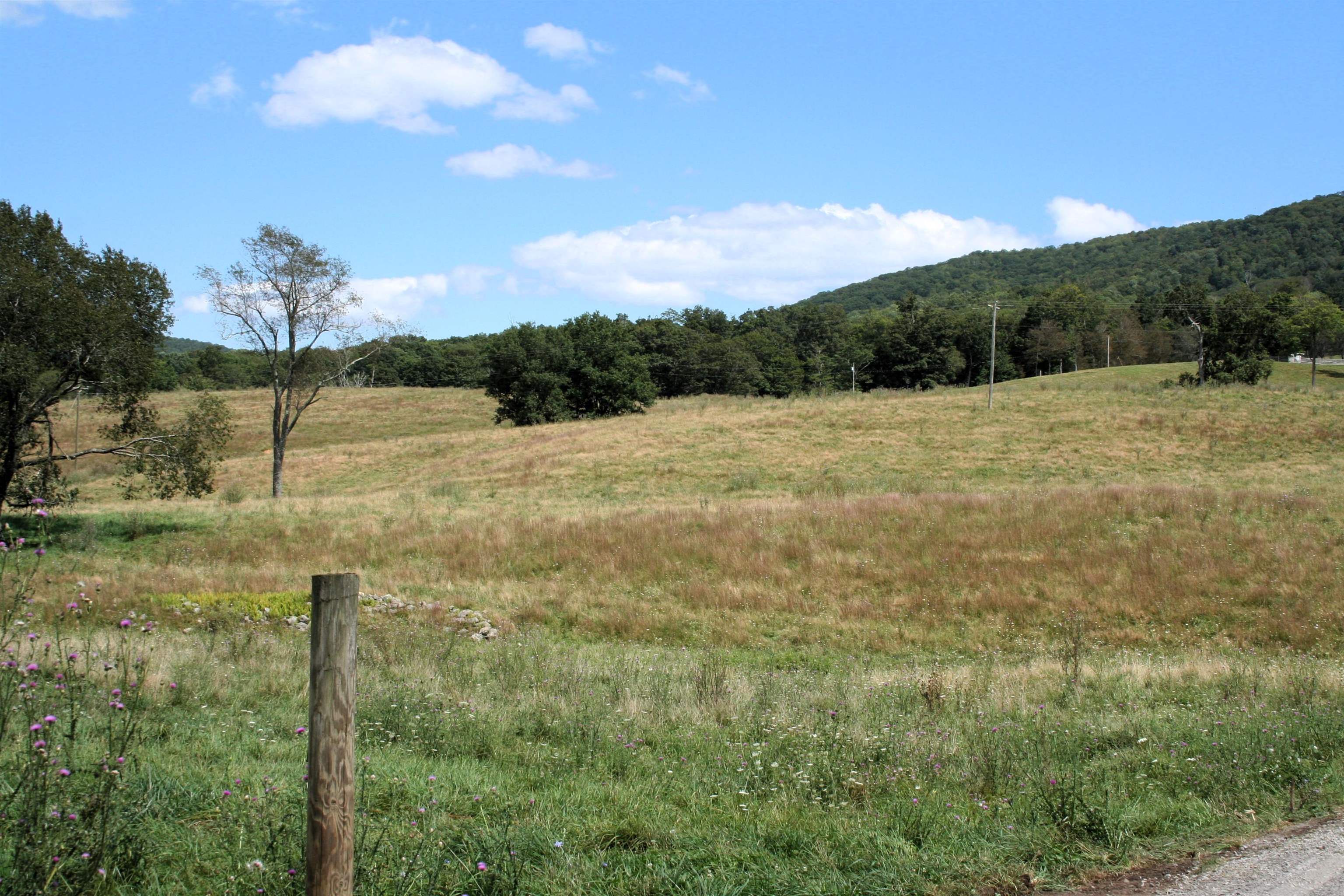 Tbd Mill Gap Road Monterey, VA 24465 - Photo 6 of 6 a view of a yard