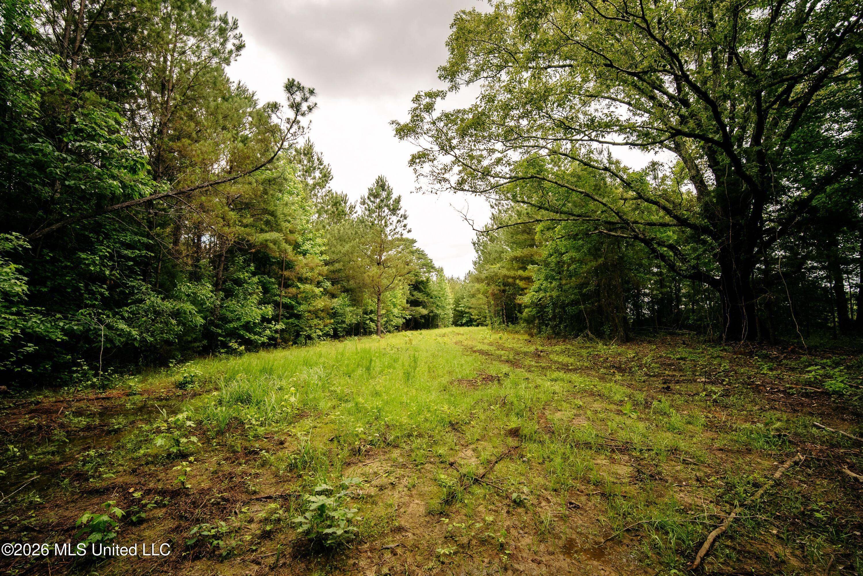 10843 Reservation Road Philadelphia, MS 39350 - Photo 23 of 42 DSC01092