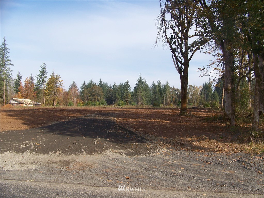 0 Sareault Road Toledo, WA 98591 - Photo 2 of 14