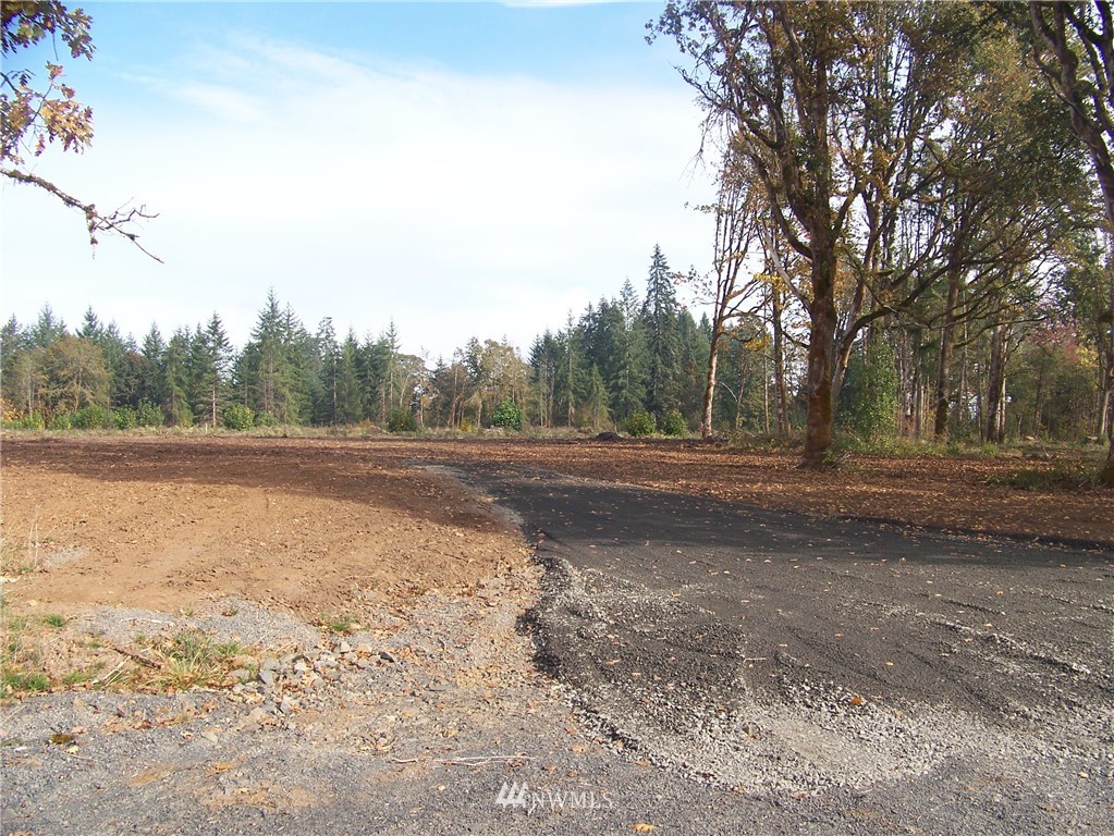 0 Sareault Road Toledo, WA 98591 - Photo 13 of 14