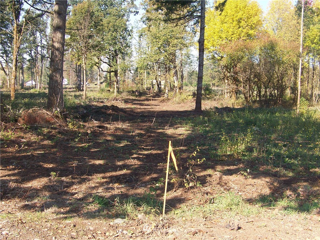 0 Sareault Road Toledo, WA 98591 - Photo 14 of 14