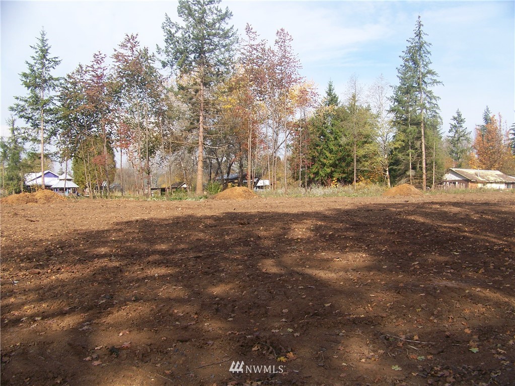 0 Sareault Road Toledo, WA 98591 - Photo 4 of 14