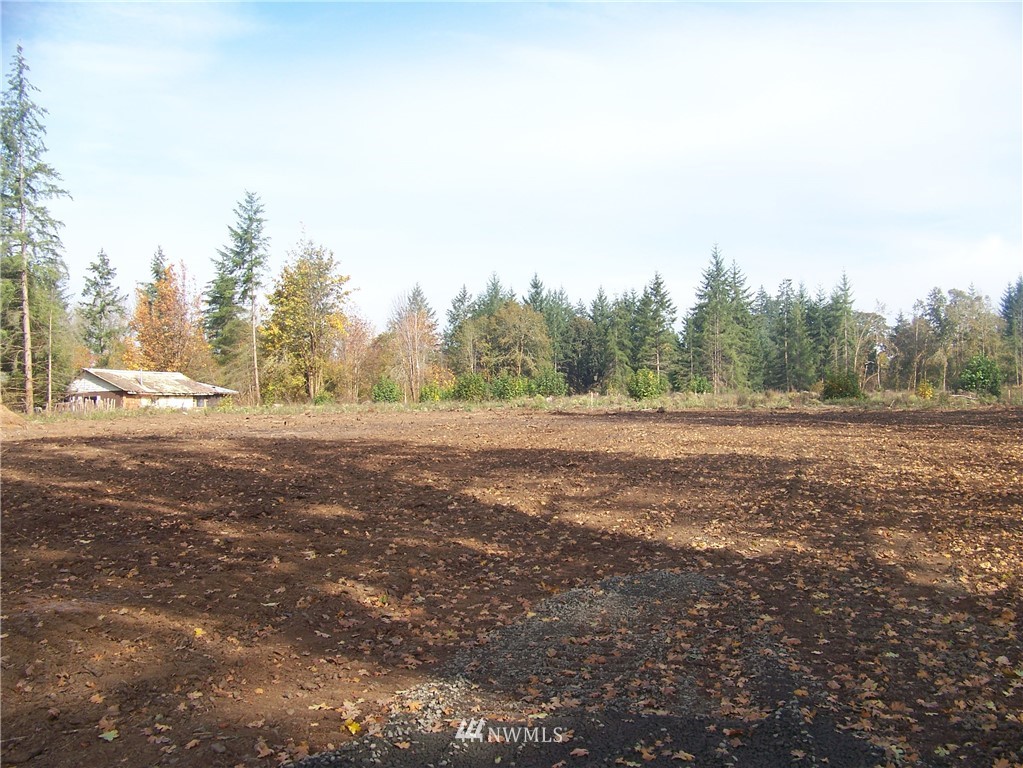 0 Sareault Road Toledo, WA 98591 - Photo 5 of 14