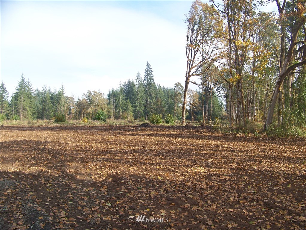 0 Sareault Road Toledo, WA 98591 - Photo 6 of 14