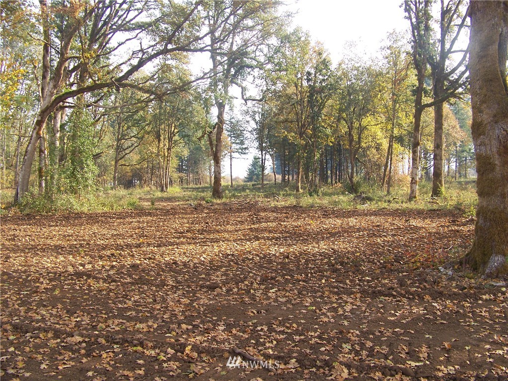 0 Sareault Road Toledo, WA 98591 - Photo 7 of 14