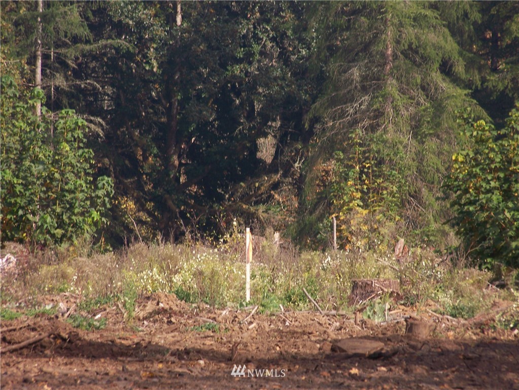 0 Sareault Road Toledo, WA 98591 - Photo 10 of 14