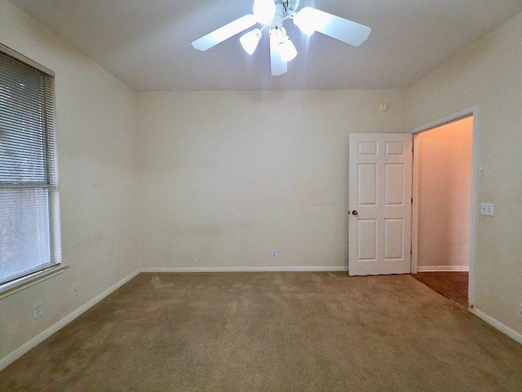 1103 Seton Hall Lane Pflugerville, TX 78660 - Photo 12 of 32 Downstairs bedroom