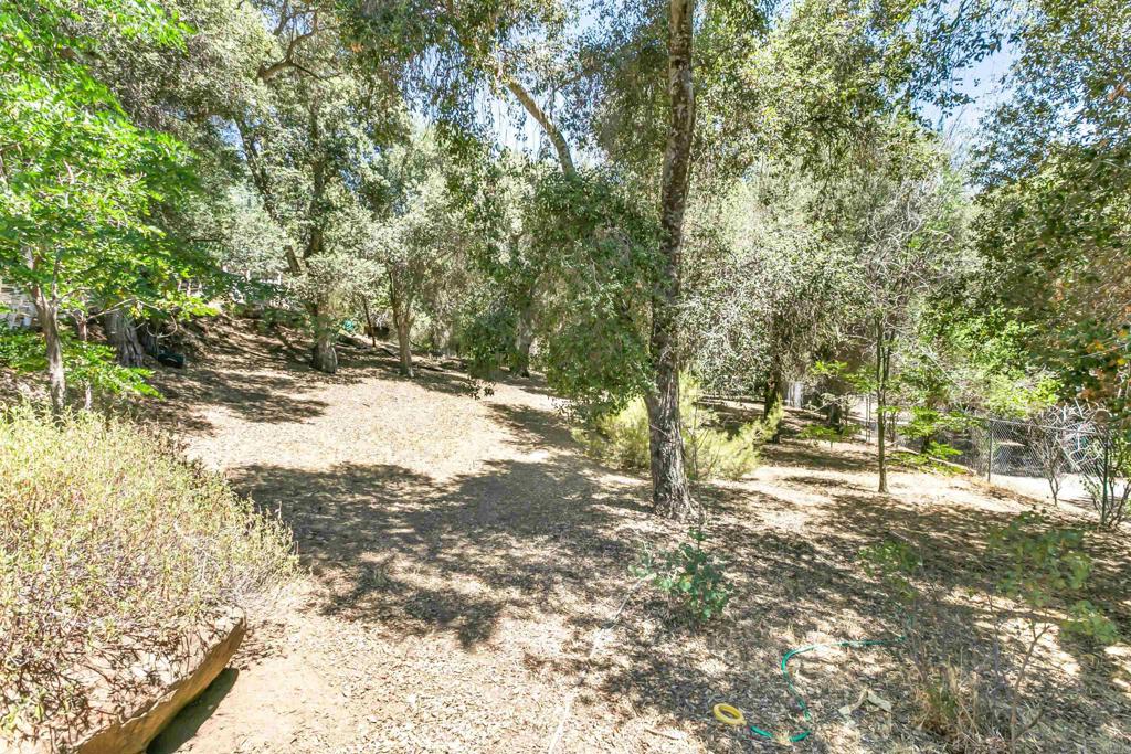 28721 Lebanon Road Pine Valley, CA 91962 - Photo 13 of 48 a view of a yard with large trees