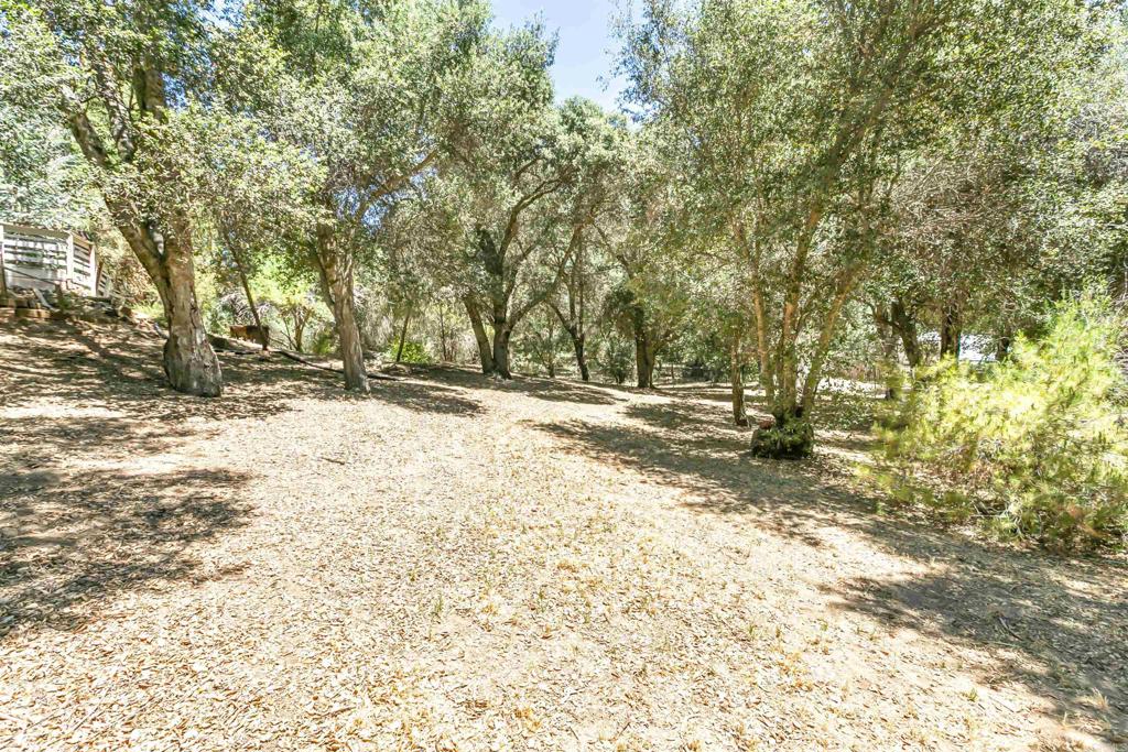 28721 Lebanon Road Pine Valley, CA 91962 - Photo 14 of 48 a view of outdoor space with trees
