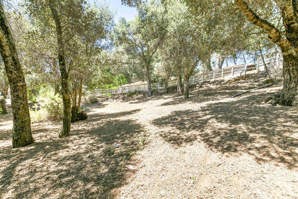 28721 Lebanon Road Pine Valley, CA 91962 - Photo 15 of 48 a view of dirt yard with a large tree