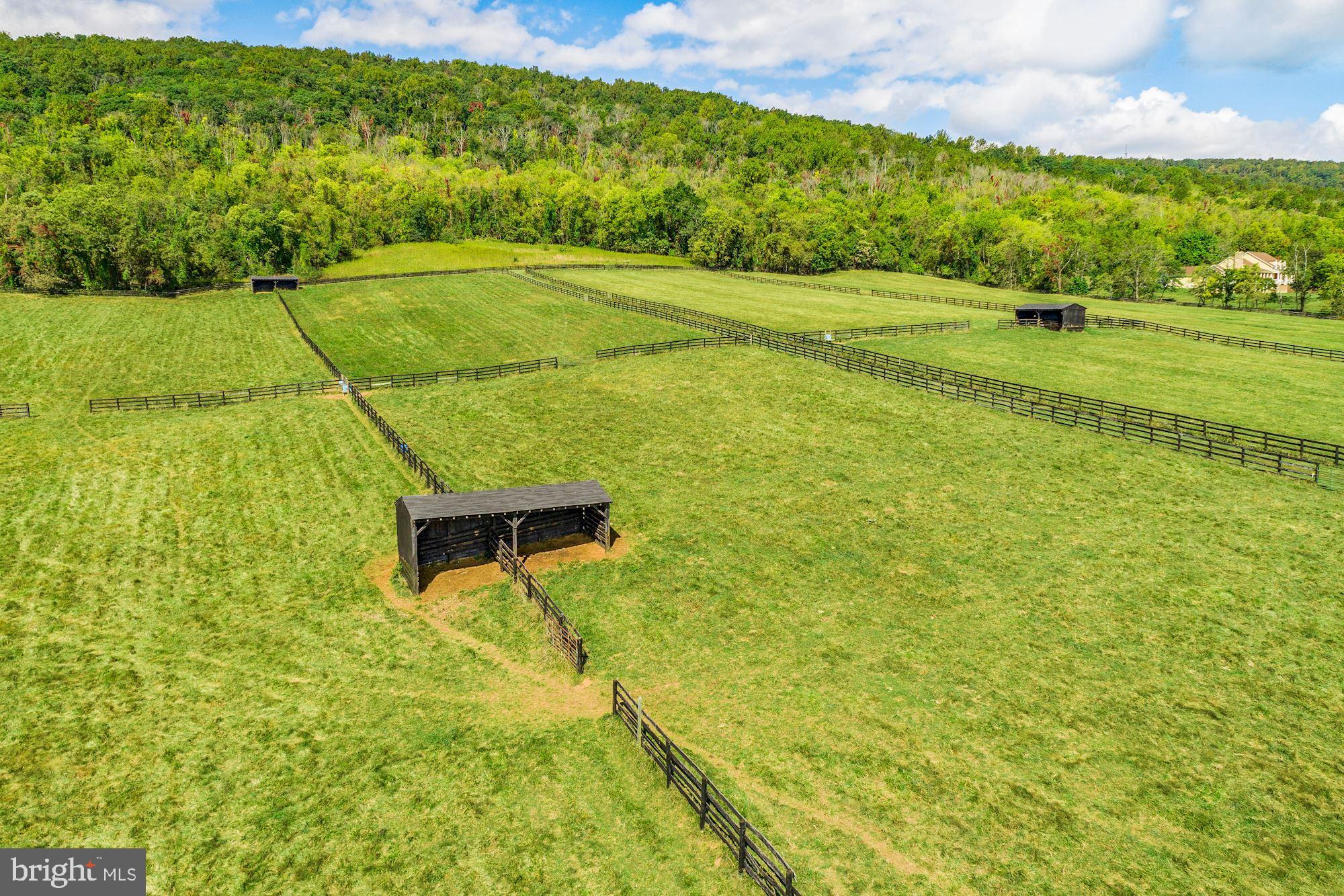 21167 Trappe Road Upperville, VA 20184 - Photo 48 of 54 Gallery Image 48