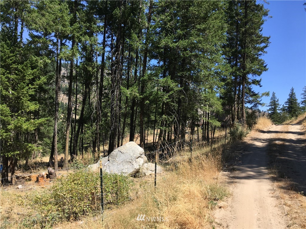 25 Gold Hill Road Loomis, WA 98827 - Photo 12 of 28 Gallery Image 12