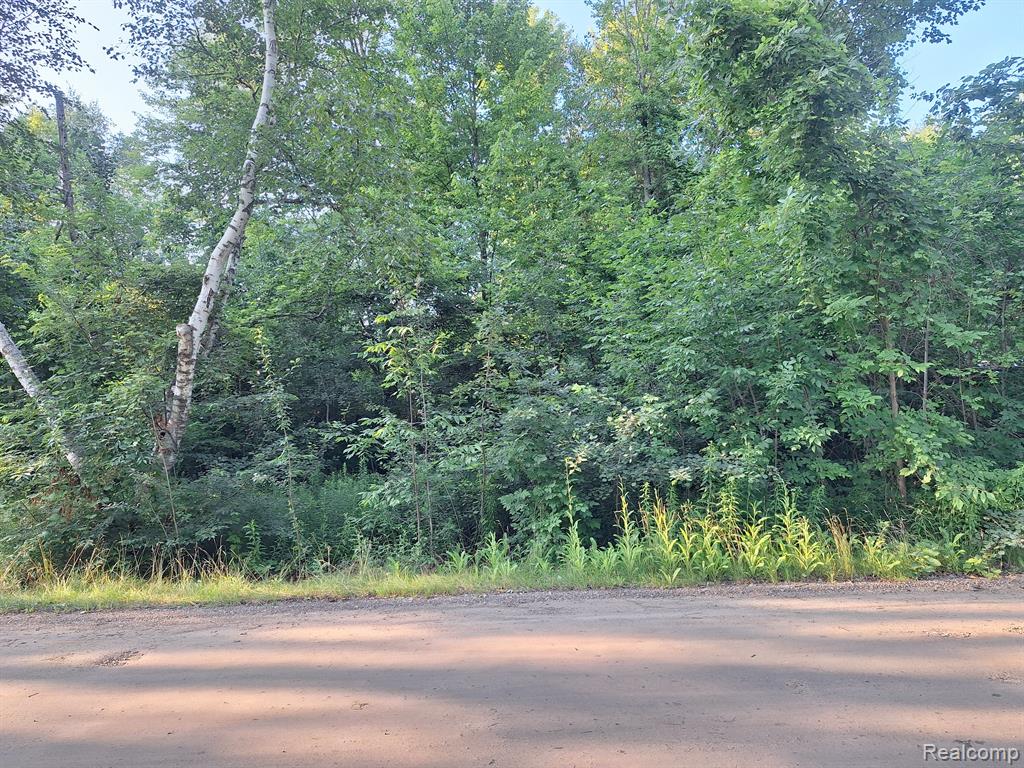 0 Birchwood Road Lexington, MI 48450 - Photo 4 of 7