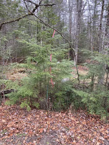 $75,000 | 84 Vernon Avenue, Unit ALSO LOTS # 103 AND 104 ON OAK CIRCLE, Woodsville, NH 03785