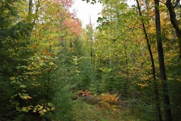 $75,000 | 84 Vernon Avenue, Unit ALSO LOTS # 103 AND 104 ON OAK CIRCLE, Haverhill, NH 03785