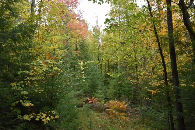 $75,000 | 84 Vernon Avenue, Unit ALSO LOTS # 103 AND 104 ON OAK CIRCLE, Haverhill, NH 03785