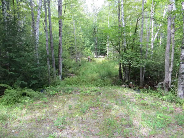 $75,000 | 84 Vernon Avenue, Unit ALSO LOTS # 103 AND 104 ON OAK CIRCLE, Haverhill, NH 03785