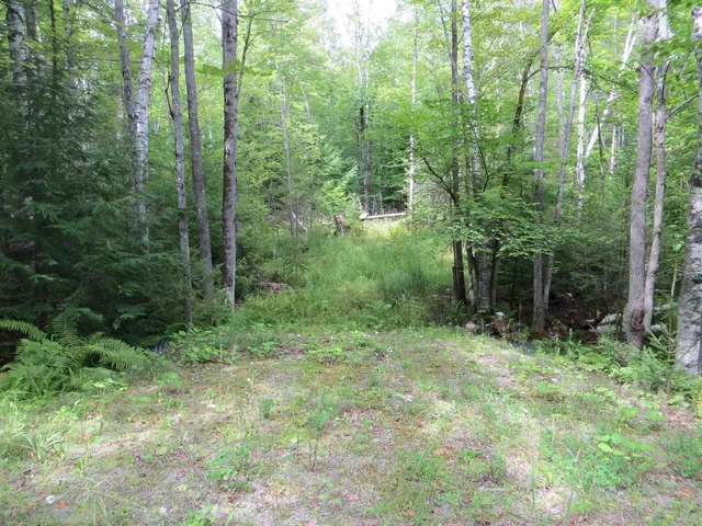 $75,000 | 84 Vernon Avenue, Unit ALSO LOTS # 103 AND 104 ON OAK CIRCLE, Haverhill, NH 03785