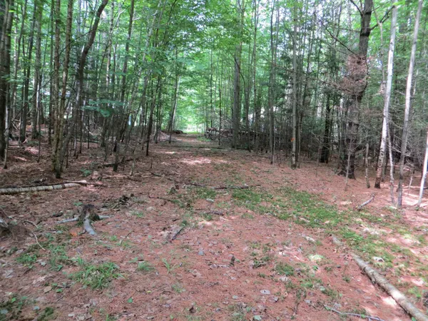 $75,000 | 84 Vernon Avenue, Unit ALSO LOTS # 103 AND 104 ON OAK CIRCLE, Haverhill, NH 03785