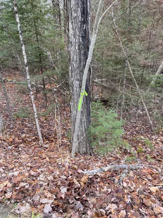 $75,000 | 84 Vernon Avenue, Unit ALSO LOTS # 103 AND 104 ON OAK CIRCLE, Haverhill, NH 03785