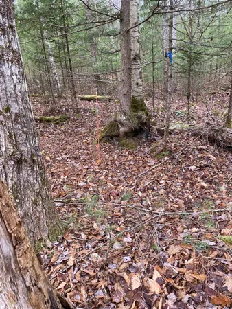 $75,000 | 84 Vernon Avenue, Unit ALSO LOTS # 103 AND 104 ON OAK CIRCLE, Haverhill, NH 03785