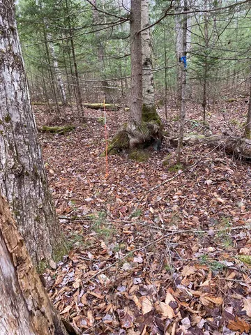 $75,000 | 84 Vernon Avenue, Unit ALSO LOTS # 103 AND 104 ON OAK CIRCLE, Haverhill, NH 03785