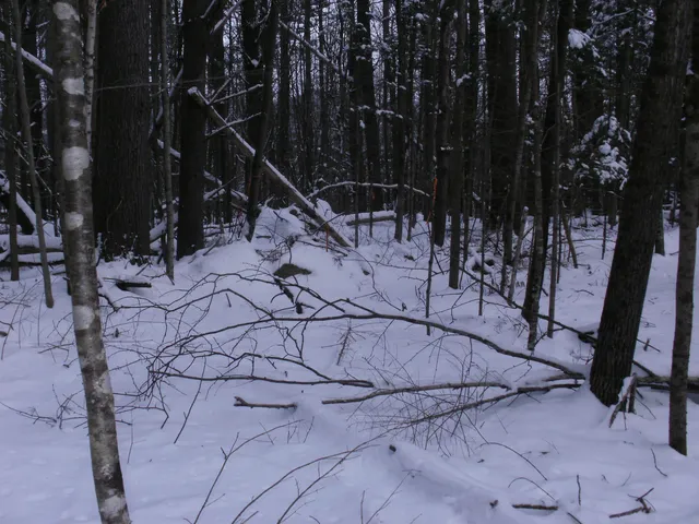 $75,000 | 84 Vernon Avenue, Unit ALSO LOTS # 103 AND 104 ON OAK CIRCLE, Haverhill, NH 03785