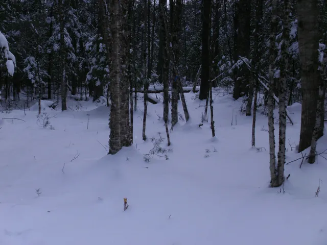 $75,000 | 84 Vernon Avenue, Unit ALSO LOTS # 103 AND 104 ON OAK CIRCLE, Haverhill, NH 03785