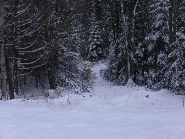 $75,000 | 84 Vernon Avenue, Unit ALSO LOTS # 103 AND 104 ON OAK CIRCLE, Haverhill, NH 03785