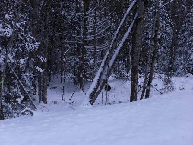 $75,000 | 84 Vernon Avenue, Unit ALSO LOTS # 103 AND 104 ON OAK CIRCLE, Haverhill, NH 03785