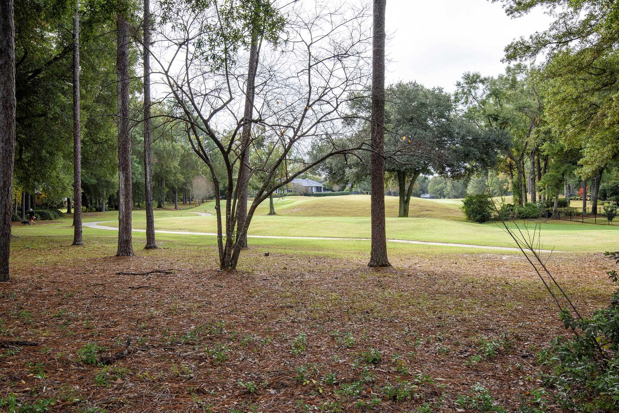 128 Cedar Pointe Fairhope, AL 36532 - Photo 15 of 46