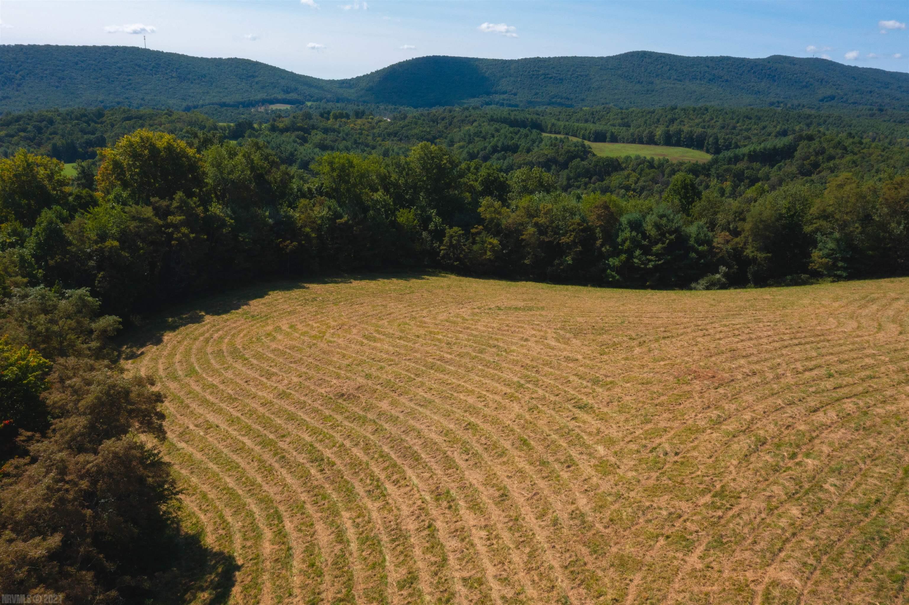 Tbd Beaver Creek Road Northwest Floyd, VA 24091 - Photo 5 of 34 Gallery Image 5