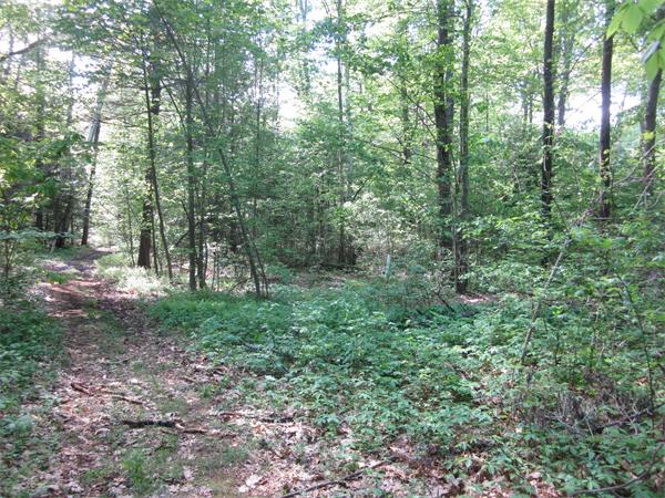 55 Rattle Hill Road Southampton, MA 01073 - Photo 5 of 5