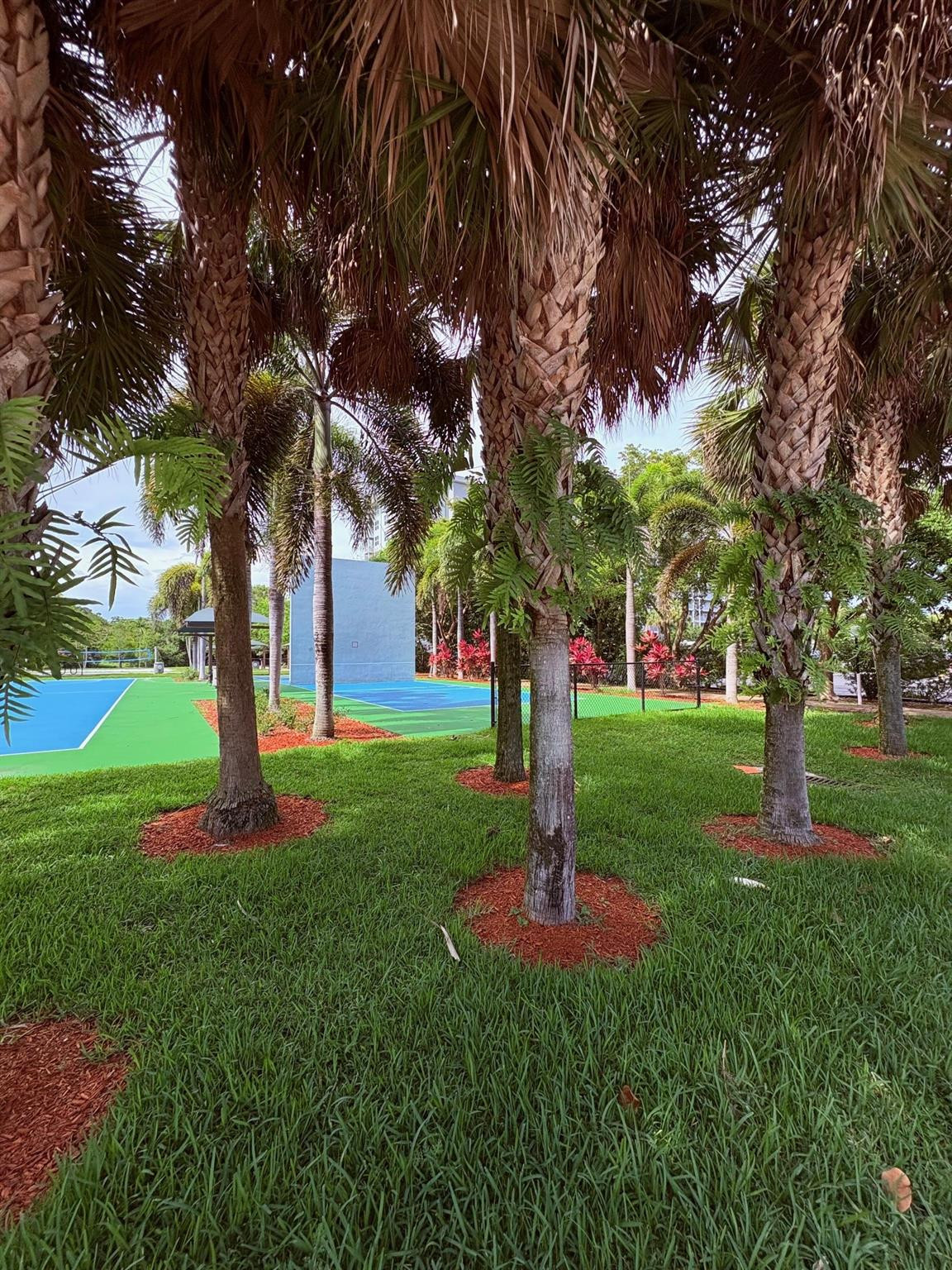2671 South Course Drive, Unit 108 Pompano Beach, FL 33069 - Photo 26 of 40 a view of a garden with a tree