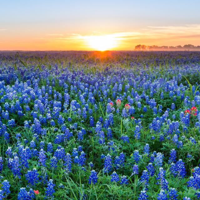 120 Fox Run Georgetown, TX 78628 - Photo 25 of 30 a view of city and mountain