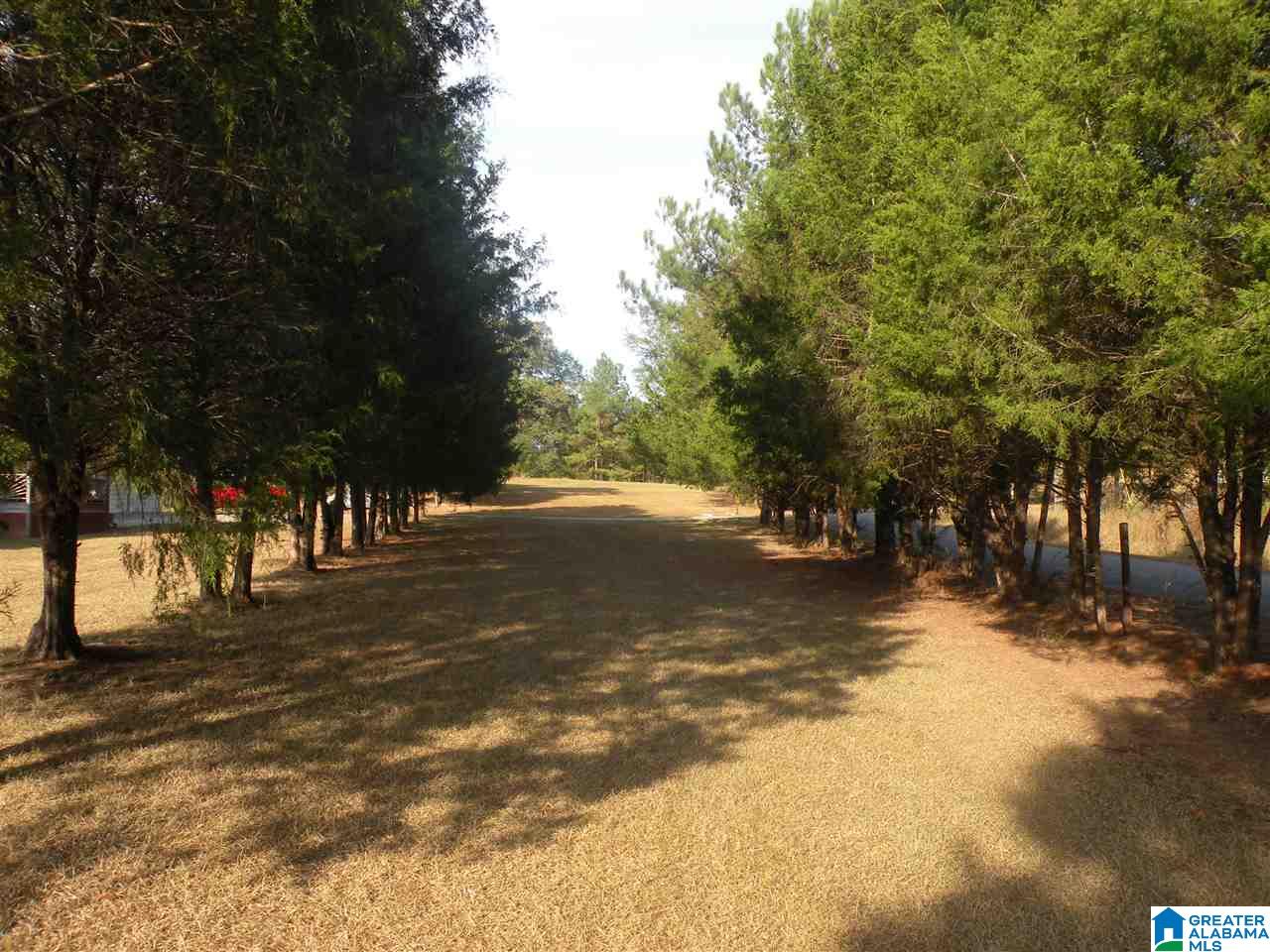 390 Five Oaks Lane Alpine, AL 35014 - Photo 26 of 29