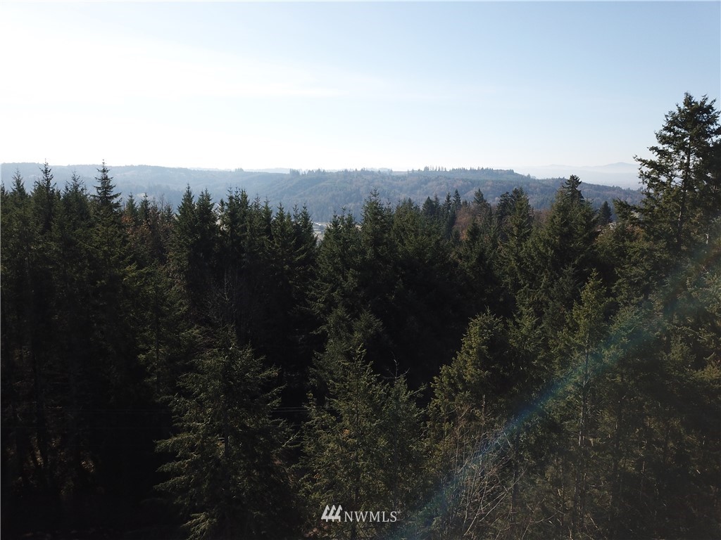 1926 Seminary Hill Road Centralia, WA 98531 - Photo 1 of 18 Gallery Image 1