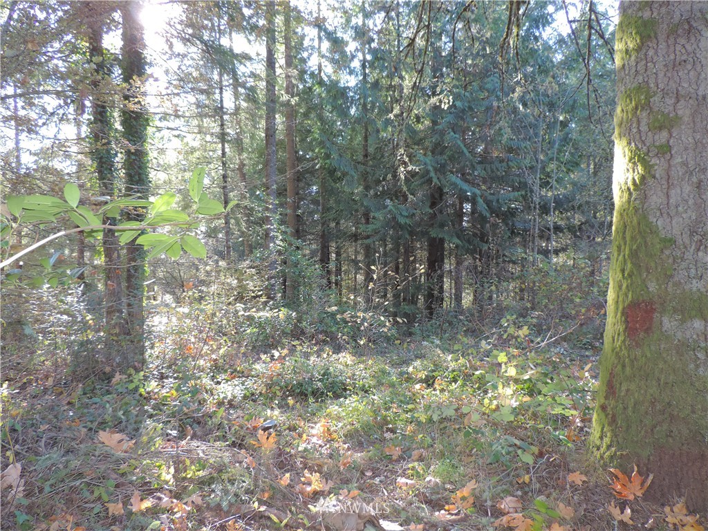 1926 Seminary Hill Road Centralia, WA 98531 - Photo 11 of 18 Gallery Image 11