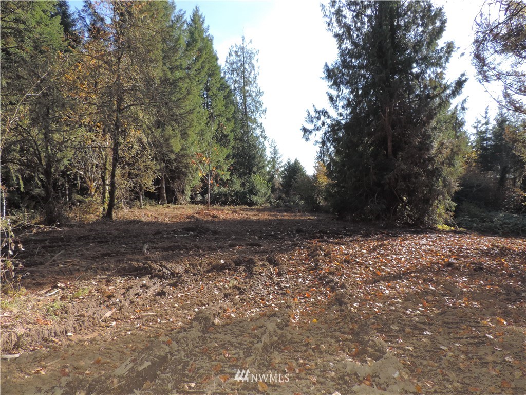 1926 Seminary Hill Road Centralia, WA 98531 - Photo 12 of 18 Gallery Image 12