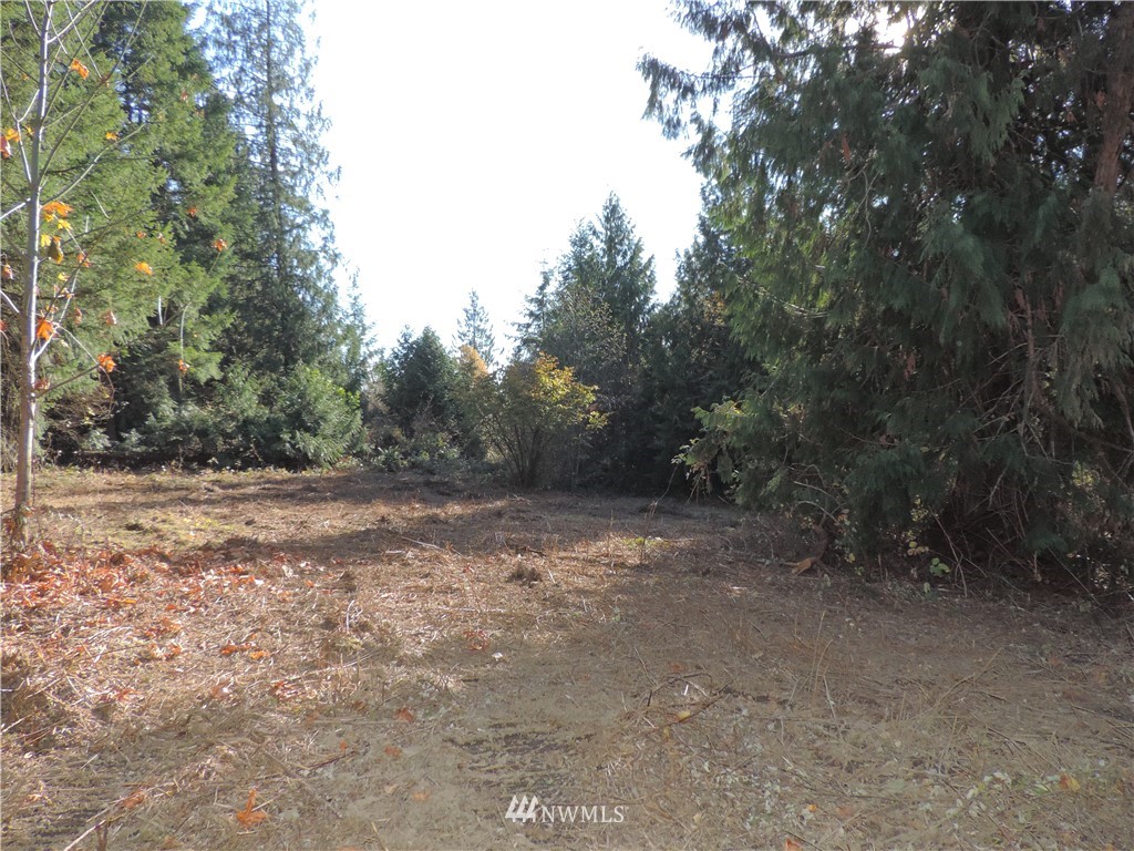 1926 Seminary Hill Road Centralia, WA 98531 - Photo 13 of 18 Gallery Image 13