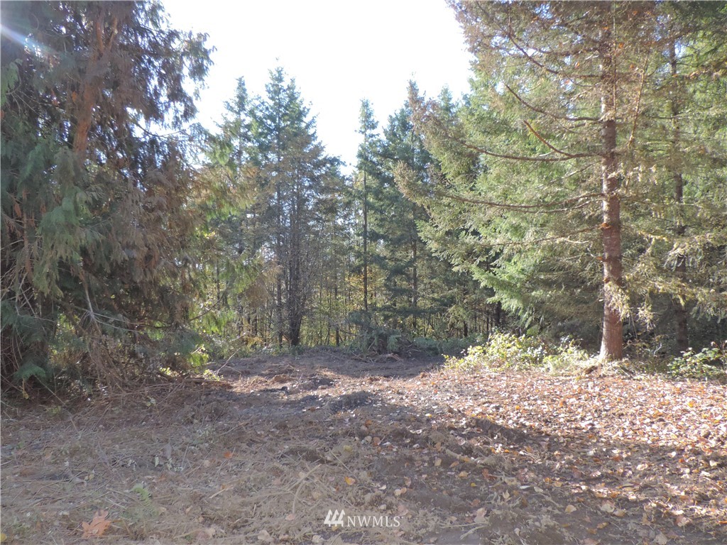 1926 Seminary Hill Road Centralia, WA 98531 - Photo 14 of 18 Gallery Image 14