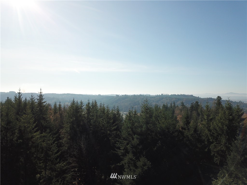 1926 Seminary Hill Road Centralia, WA 98531 - Photo 3 of 18 Gallery Image 3