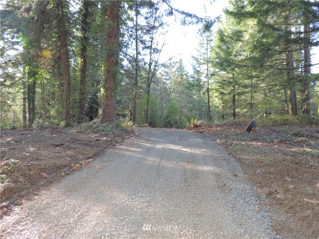 1926 Seminary Hill Road Centralia, WA 98531 - Photo 5 of 18 Gallery Image 5