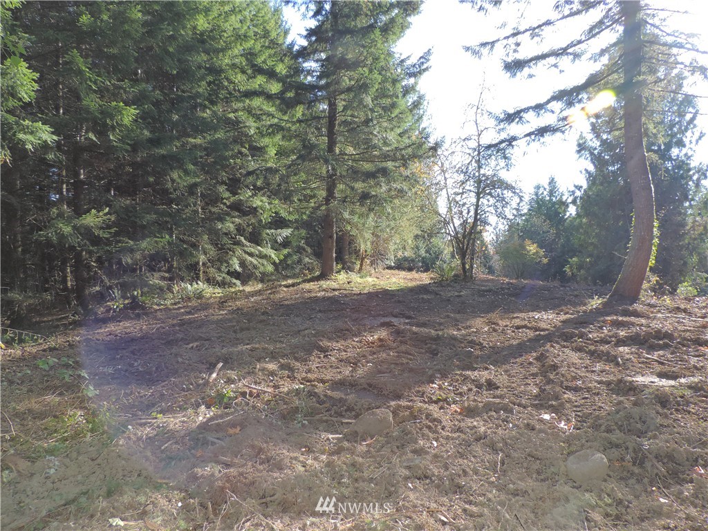 1926 Seminary Hill Road Centralia, WA 98531 - Photo 6 of 18 Gallery Image 6
