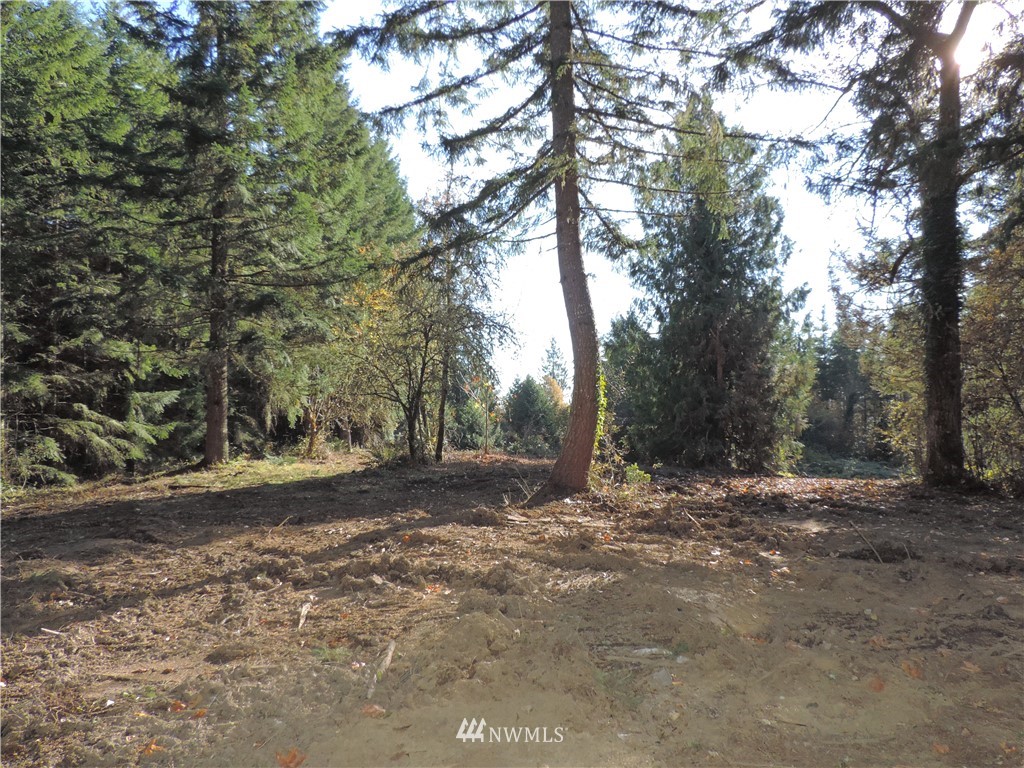 1926 Seminary Hill Road Centralia, WA 98531 - Photo 7 of 18 Gallery Image 7