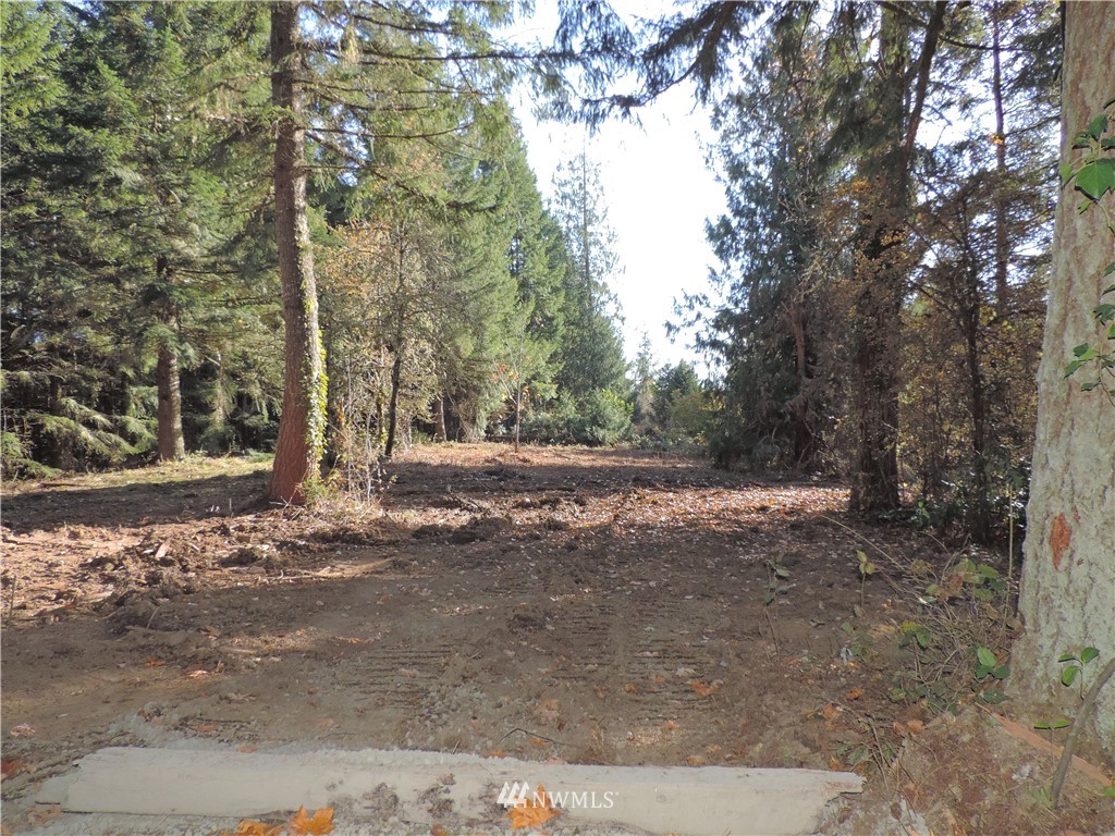 1926 Seminary Hill Road Centralia, WA 98531 - Photo 9 of 18 Gallery Image 9
