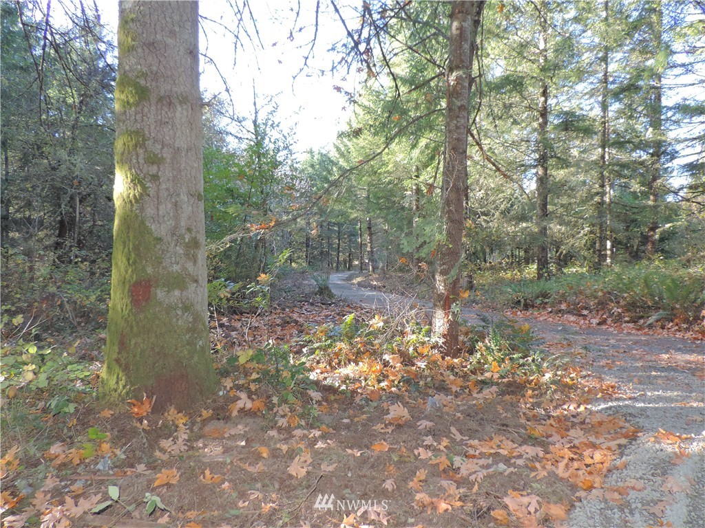 1926 Seminary Hill Road Centralia, WA 98531 - Photo 10 of 18 Gallery Image 10