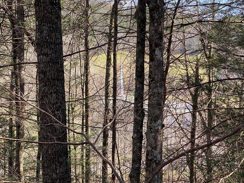 0 Little Cove Church Road Sevierville, TN 37862 - Photo 26 of 41 Gallery Image 26