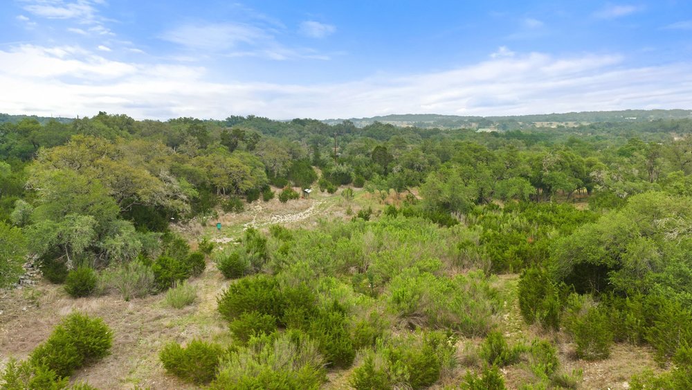 1850 Pursley Road Dripping Springs, TX 78620 - Photo 6 of 32
